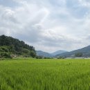 세븐일레븐 춘천후평쉼터점 | 서울 근교에서 즐기기 좋은 드라이브 가평 당일여행 코스