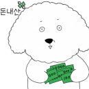 찐배네양꼬치설렁탕