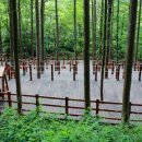 와룡자원 이미지