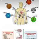 마이필라테스 - 전주시 완산구 홍산로 160-3 | 마이필라테스