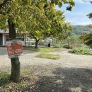 장풍숲입구 이미지