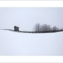 시나브로목장 이미지