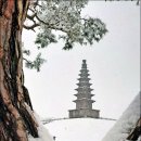 중앙탑길 이미지