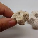 한신트레이딩 이미지