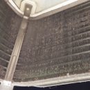 약수교회어린이집 이미지