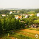 팜카밀레 네이버블로그
