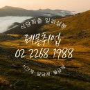 레몬직업소개소 - 서귀포시 | 레몬직업소개소