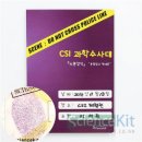 CSI 어린이 과학수사대 이미지