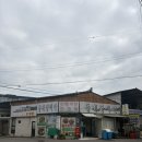 고흥 거금도 3박4일 여행 코스 추천! 맛집·카페...공원 정복하고 반값여행,척페이 혜택까지 챙긴 솔직후기