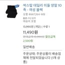 양말의 하루