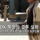 추억의 명화 49탄 . "OK목장의 결투 " 이미지