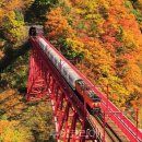 (주)동화택시 이미지