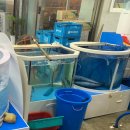 삼송횟집 | 삼송역 횟집 장보고 삼송 주변 매운탕 회 맛집 방문 후기.