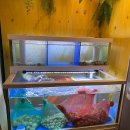 만원의행복주점 이미지