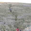 푸른밤 그별아래 이미지