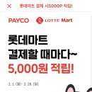 ‼️매장추가‼️ 페이코 롯데마트 결제 시 5000P 적립(끌올) 이미지