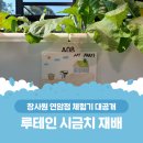 나만의 작은 정원 수경재배 힐링원예 | 루테인 시금치? 직접 재배해보았습니다!🥬 천안 창사원 연암점 체험기 대공개