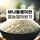 쌀 이미지