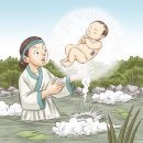 천년뿌리