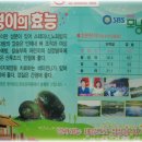 숭의쌈밥 Daum카페