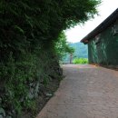 금곡영화마을 이미지