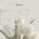 웨딩 5탄 : 아이폰 스냅 (moen_snap , 모엔스냅)