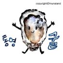 통영굴멍게건어물