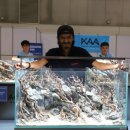 한국수경예술학회 이미지