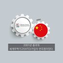 차이나 이미지