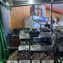 용봉마트 이미지