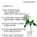 백향 이미지