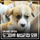 도그마루(왕십리점) 이미지