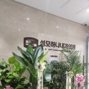 성모하나내과의원 네이버블로그