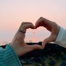 5월26일 - 6월1일 주간일기 🧡 이래도 되나 싶을 정도로 행복해