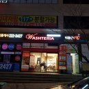 워시테리아전주