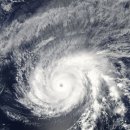 태평양슈퍼 이미지