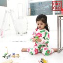 데이클로 이미지