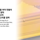 제028일차= "출애굽기": 제25~27장 이미지