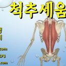 척주세움근 통증 치료 후기 - 사암오행침, 사암침법, 오행침, 정통사암침 이미지