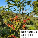 13월의 태양 이미지