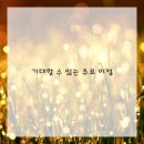 곽정원현미경치과의원 이미지