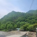 단양남천계곡물가 이미지