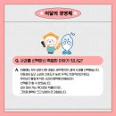해풍참사과