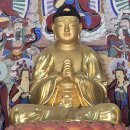 천수천안자비나눔의집 | 2026.03.14. 다시 찾는 나주 불회사