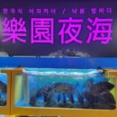 낙원밤바다 이미지