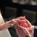 노보텔앰배서더강남 이미지