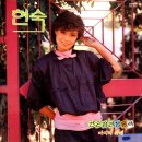 건곤감리 청홍백 / 현숙 (1984) 이미지