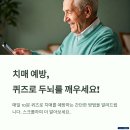 치매 예방 앱 추천! 퀴즈로 재미있게 두뇌 건강 지키는 법