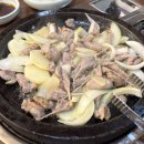 고을면