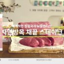 디에스앤